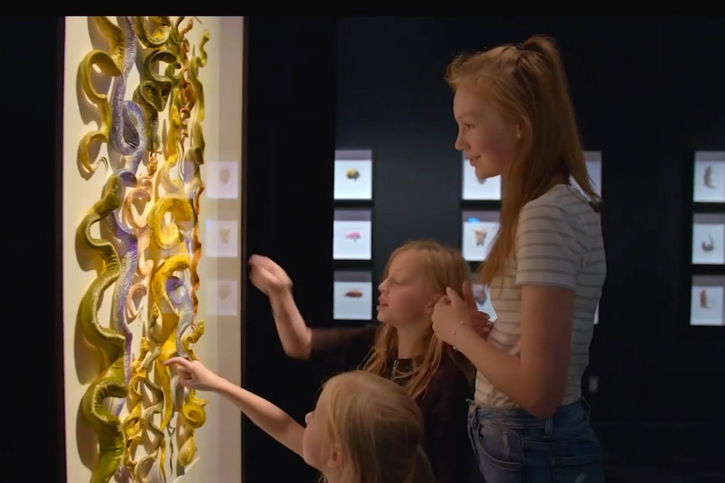 Exquisite Creatures Exhibit: Entry Ticket - Photo 1 of 8